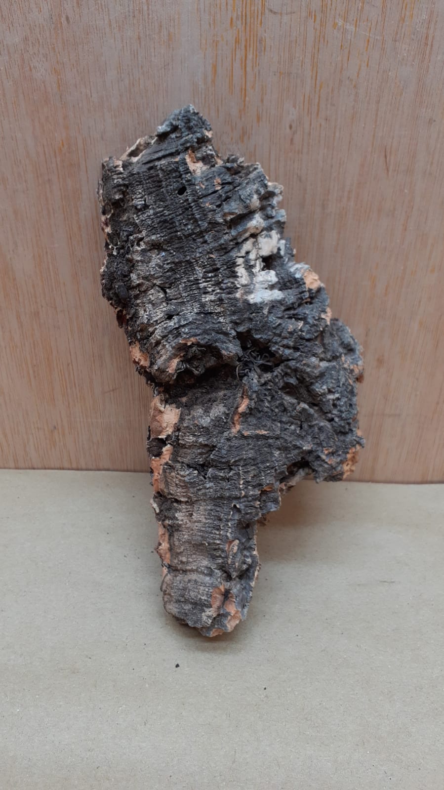 Small Cork Flat 2