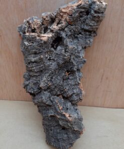 Small Cork Flat 3