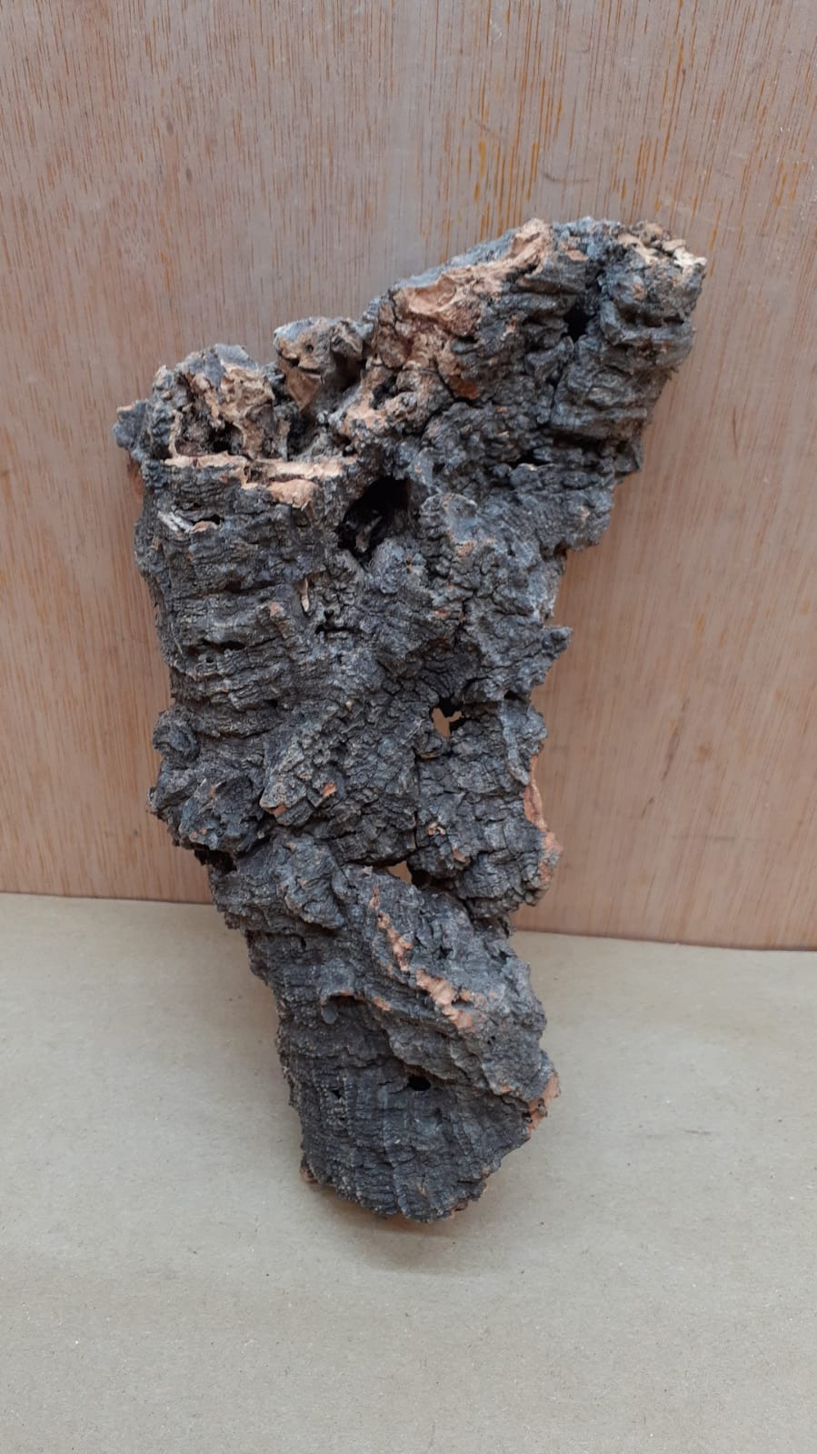 Small Cork Flat 3