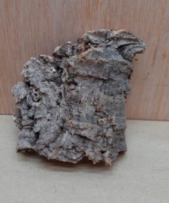 Small Cork Flat 7