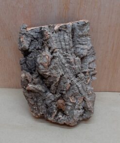 Small Cork Flat 8