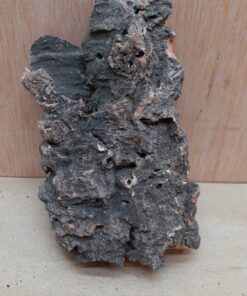 Small Cork Flat 9