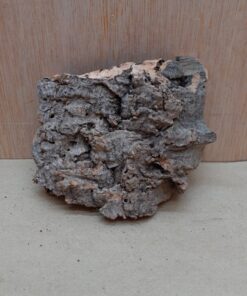 Small Cork Flat 11