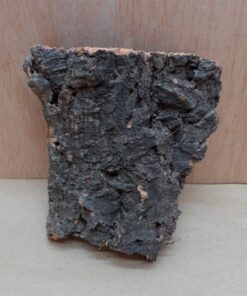 Small Cork Flat 12