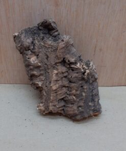 Small Cork Flat 13