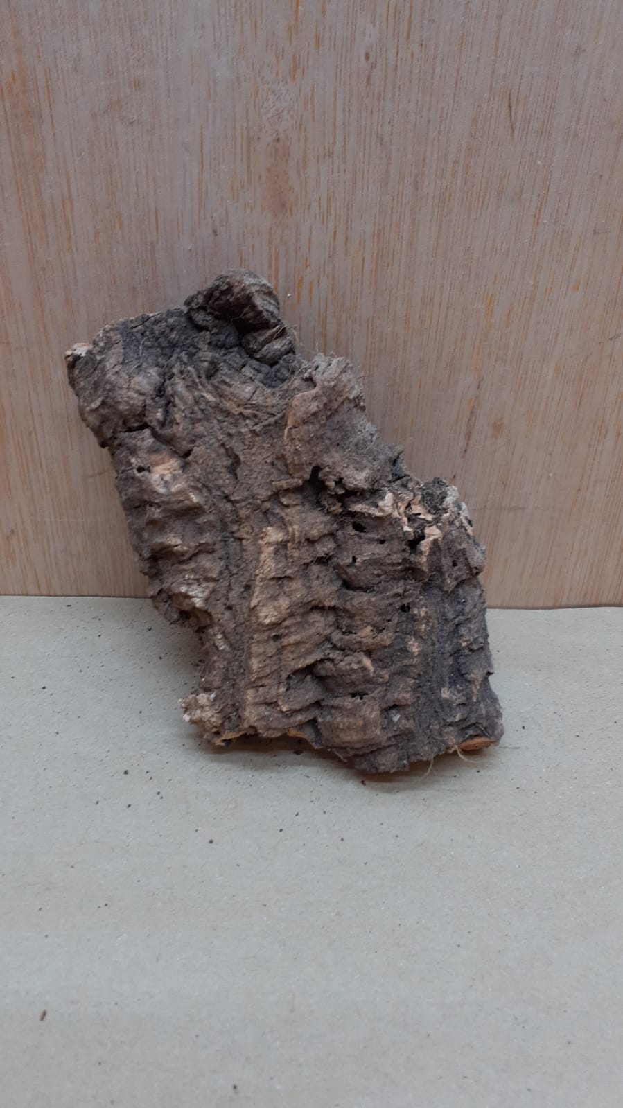Small Cork Flat 13