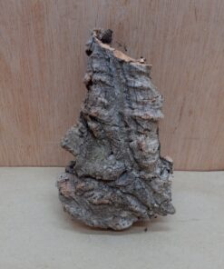 Small Cork Flat 15