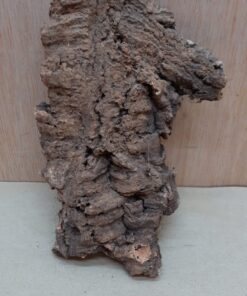 Small Cork Flat 17