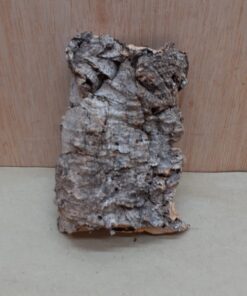 Small Cork Flat 18