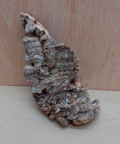 Small Cork Flat 19