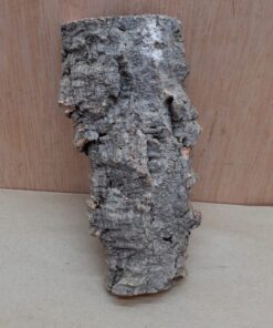 Small Cork Flat 21