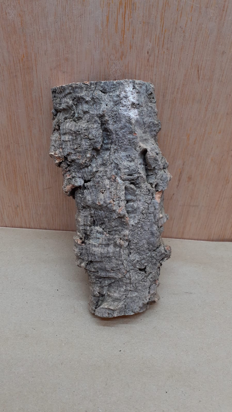 Small Cork Flat 21