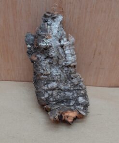 Small Cork Flat 22