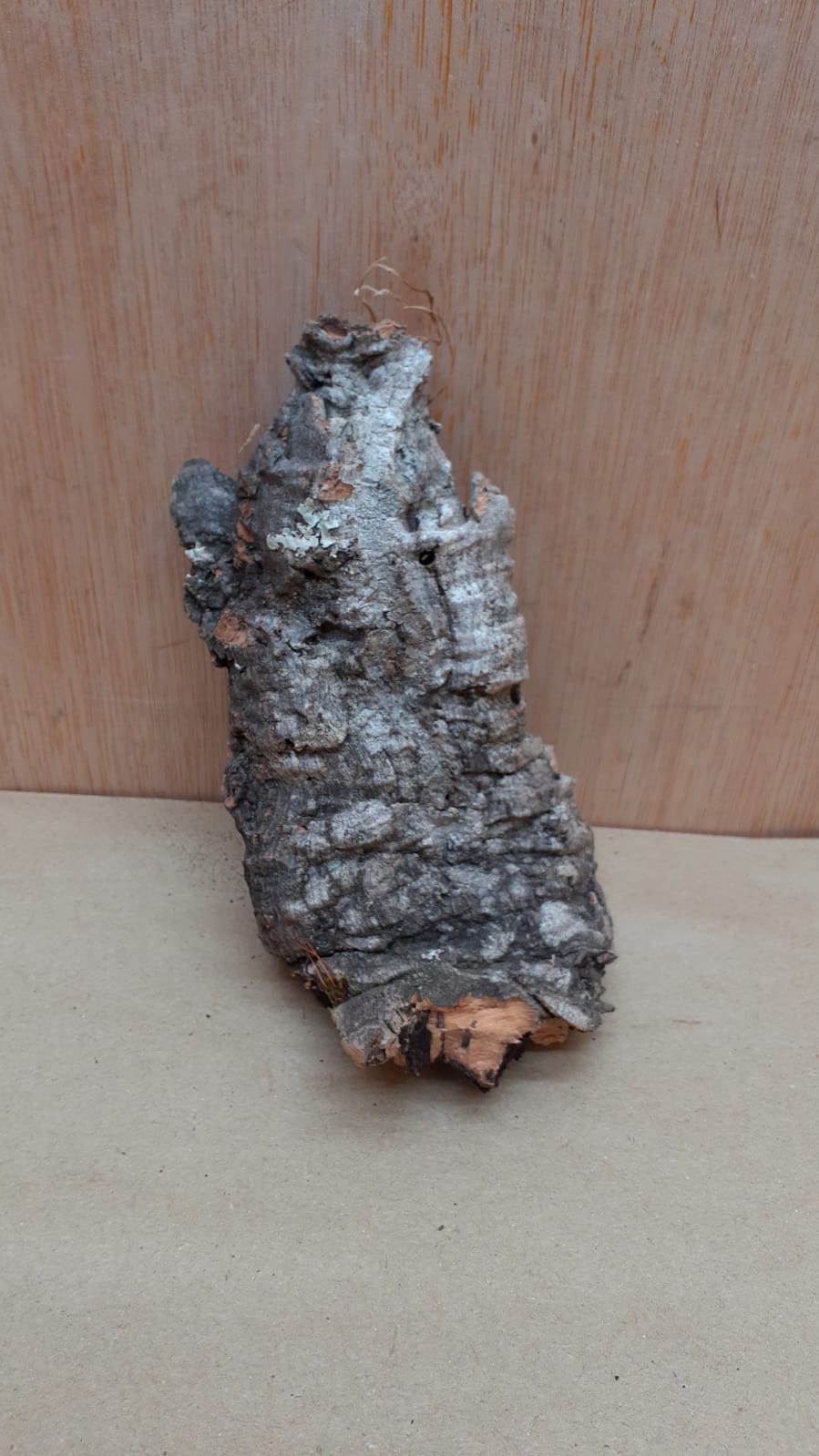 Small Cork Flat 22