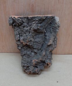 Small Cork Flat 29