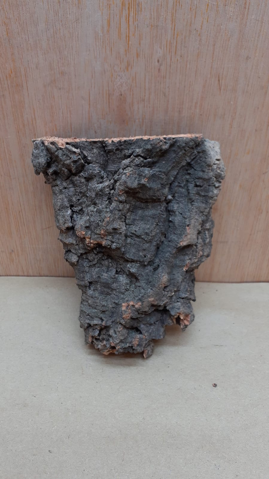 Small Cork Flat 29
