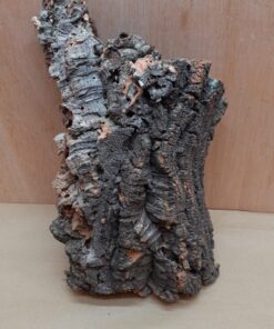 Medium Cork Flat 1