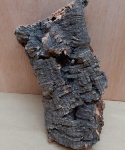 Medium Cork Flat 2