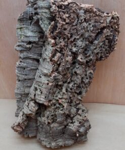 Medium Cork Flat 3