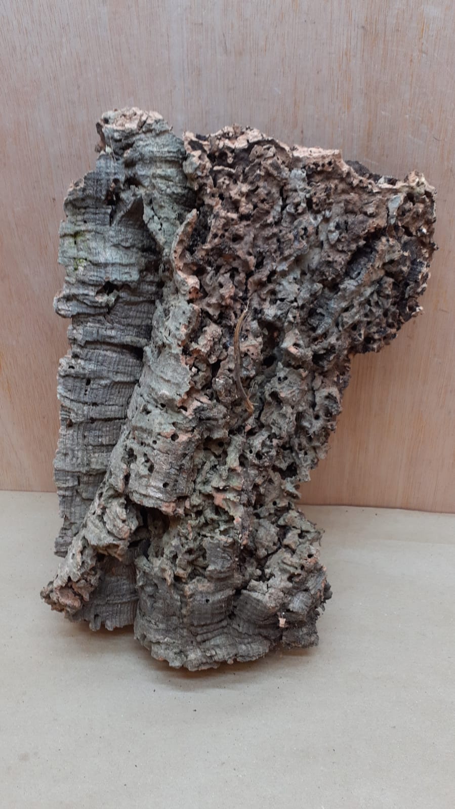 Medium Cork Flat 3