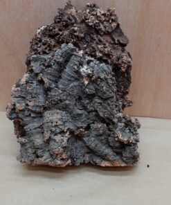 Medium Cork Flat 6