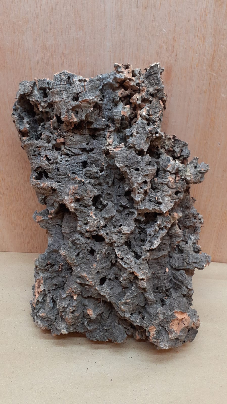 Medium Cork Flat 7