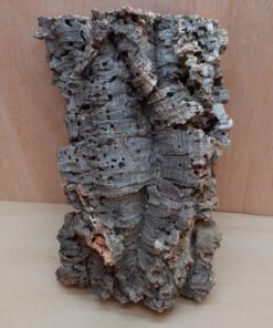Medium Cork Flat 8