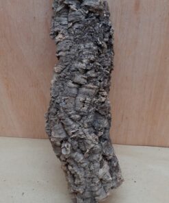 Medium Cork Flat 9