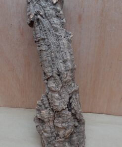 Medium Cork Flat 11