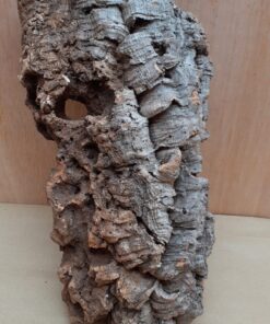Medium Cork Flat 12