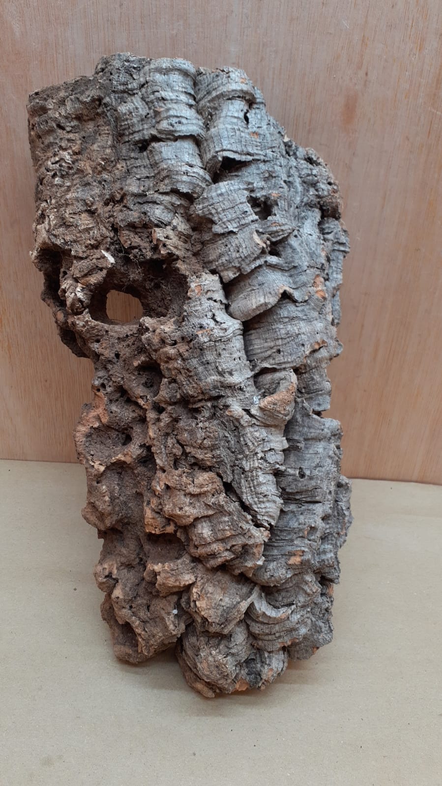 Medium Cork Flat 12