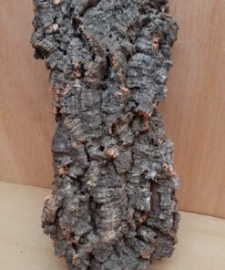 Medium Cork Flat 13