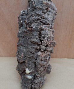 Medium Cork Flat 14