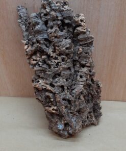 Medium Cork Flat 15