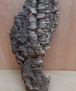 Medium Cork Flat 16
