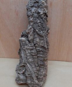 Medium Cork Flat 17