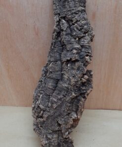 Medium Cork Flat 19