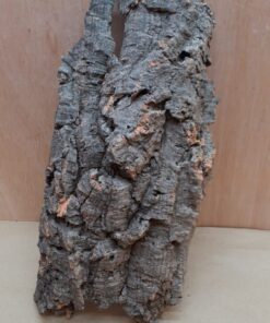 Medium Cork Flat 21