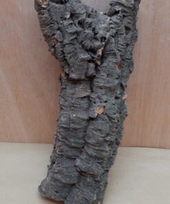 Medium Cork Flat 24