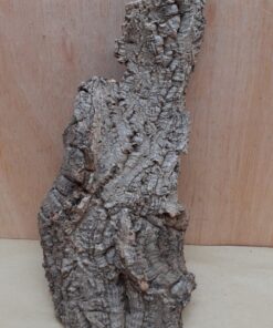 Medium Cork Flat 26