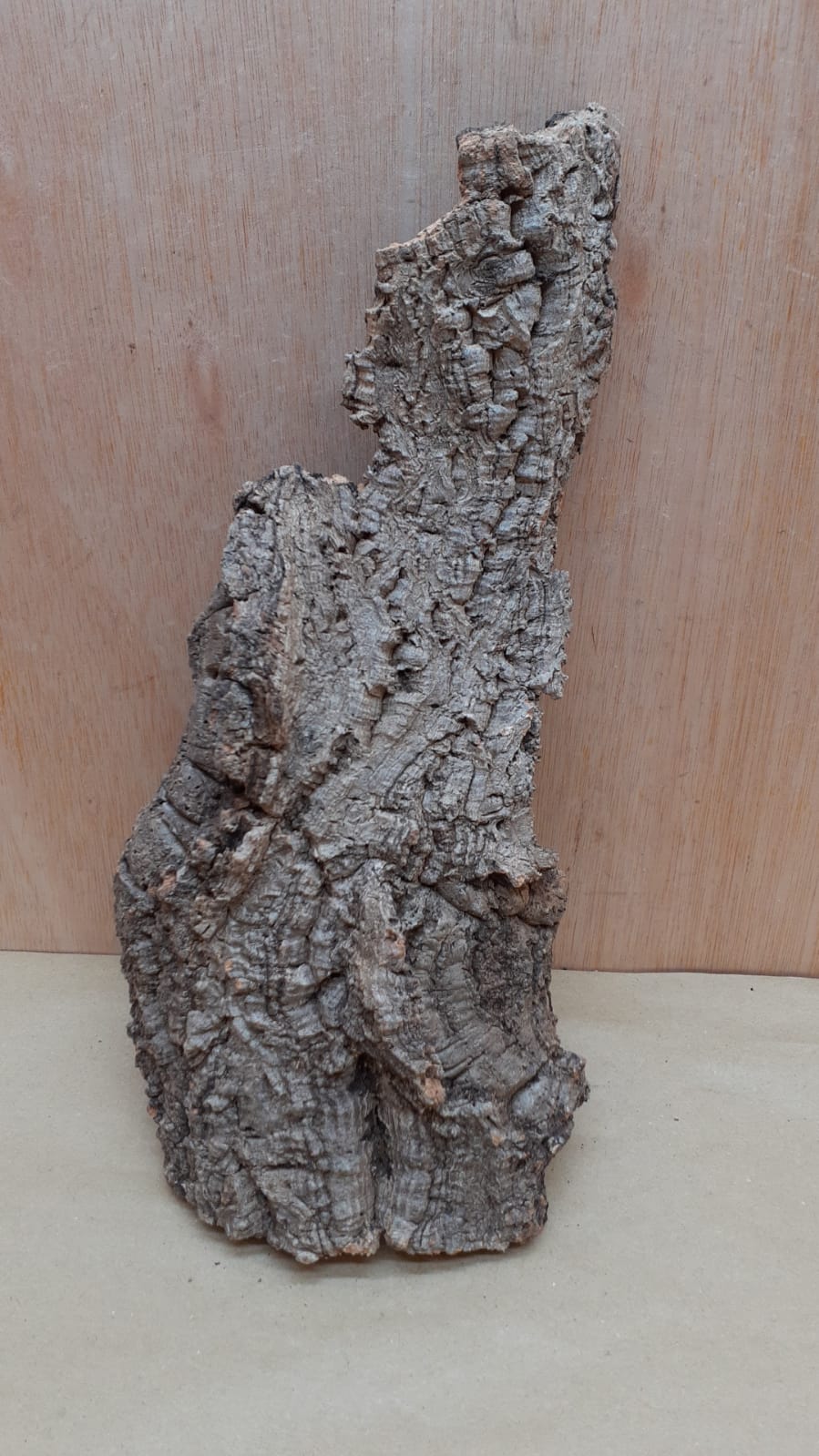 Medium Cork Flat 26