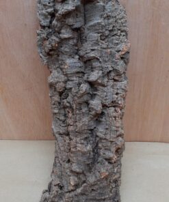 Medium Cork Flat 27