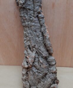 Medium Cork Flat 29