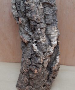 Medium Cork Flat 30