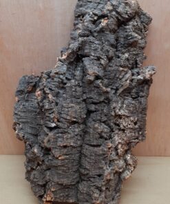 Large Cork Flat 2