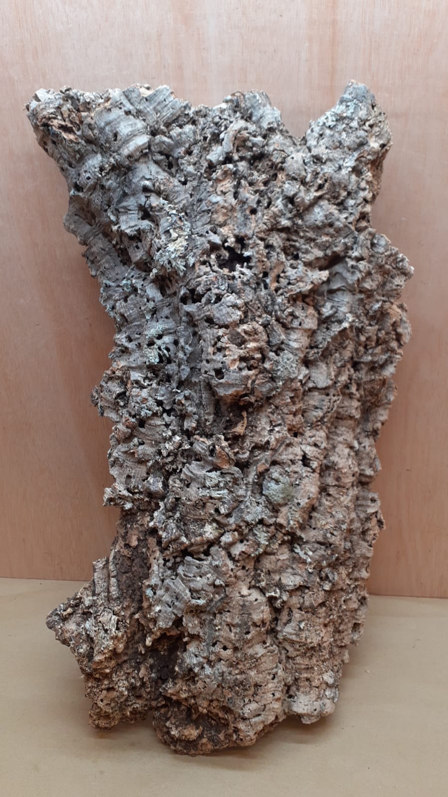 Large Cork Flat 3