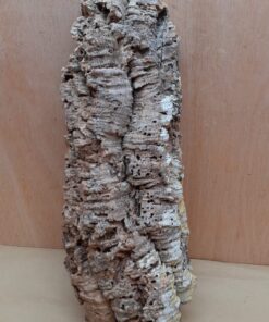 Large Cork Flat 4