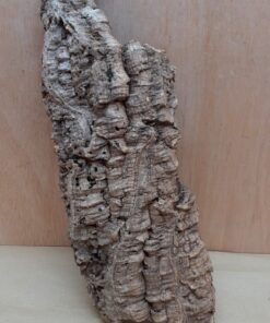 Large Cork Flat 5