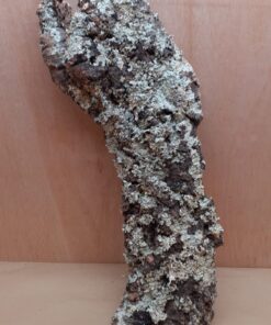 Large Cork Flat 6