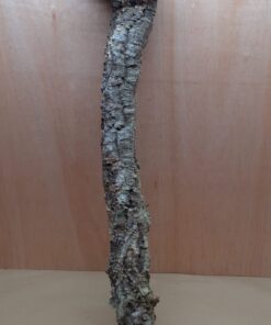 Large Cork Branch - 80-110cm - 3